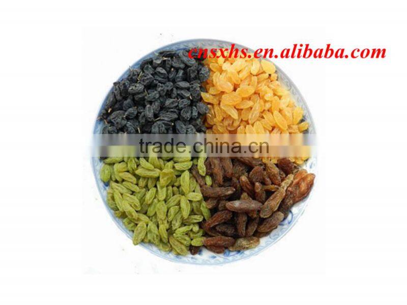 Green red black and golden raisin for wholesale