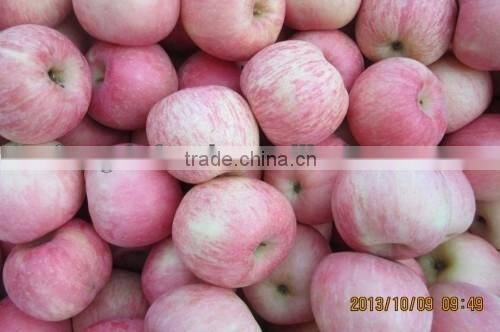 red delicious apples