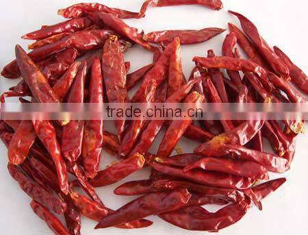 HOT SPICY RED CHILI EXPORTER