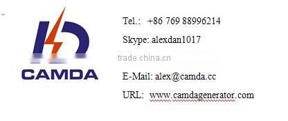 CE approved gas power plant/gas genset power plant/biogas,landfill gas,coal bed methane