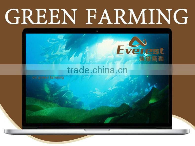 Environment friendly cost effective organic soil soluble seaweed