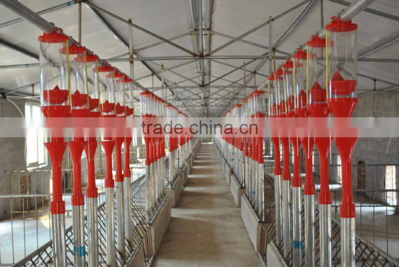 automatic feeding system for pig farm
