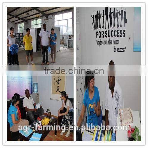 2017 Newest Full Automatic Transparent cheap Egg Incubator for Sale