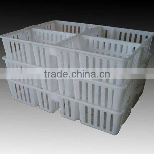 plastic chicken tranport stackable cage/box/crate for child chicken