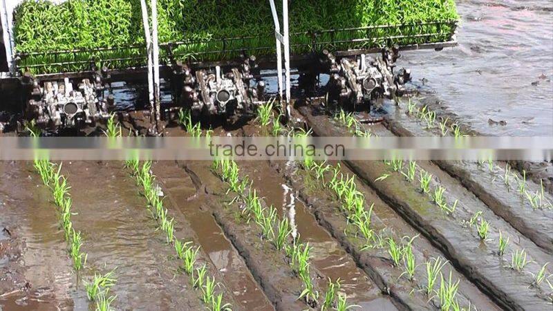 good quality cheap price paddy rice transplanter