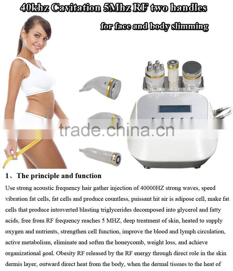 2017 High quality 40khz 5Mhz RF two handles for face and body slimming machine