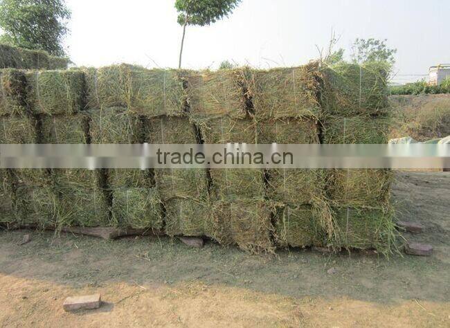 30t DB-30T hydraulic vertical waste paper baler machine with low price