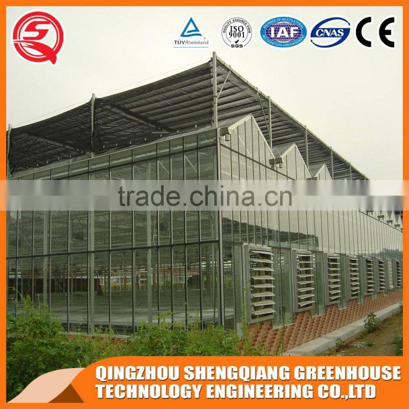 China direct Multifunction multi span Venlo glass greenhouse