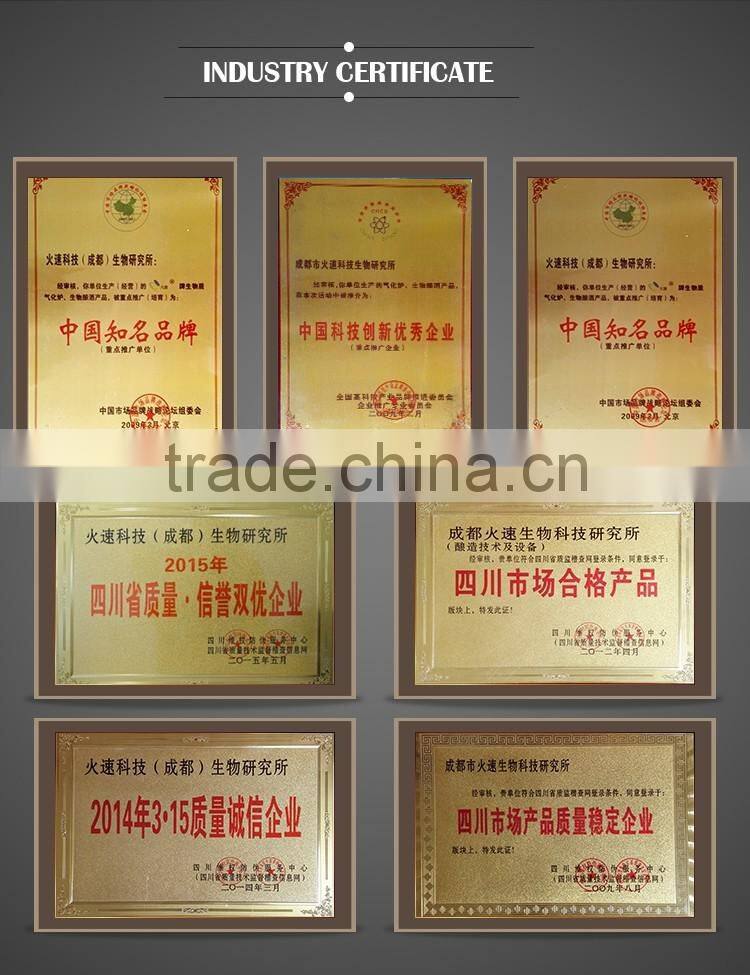 Dragon shape animal shaped glass wine bottle for Christmas gift decoration