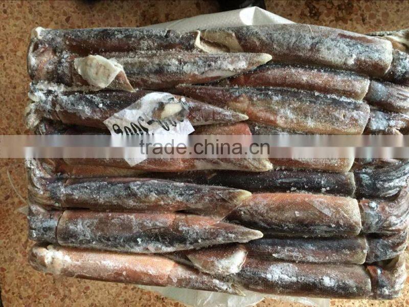 Frozen Illex Squid 200-300g