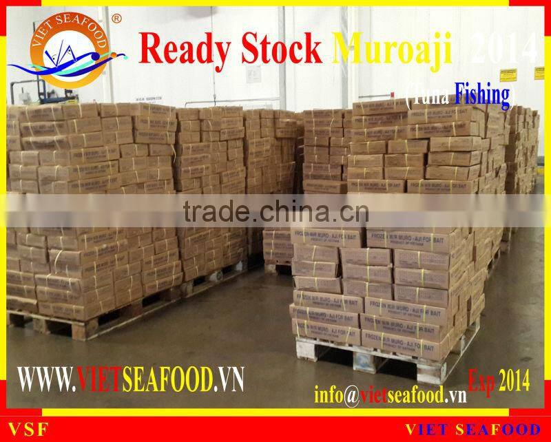 READY STOCK FOR SUPPLY MUROAJI FOR TUNA BAIT