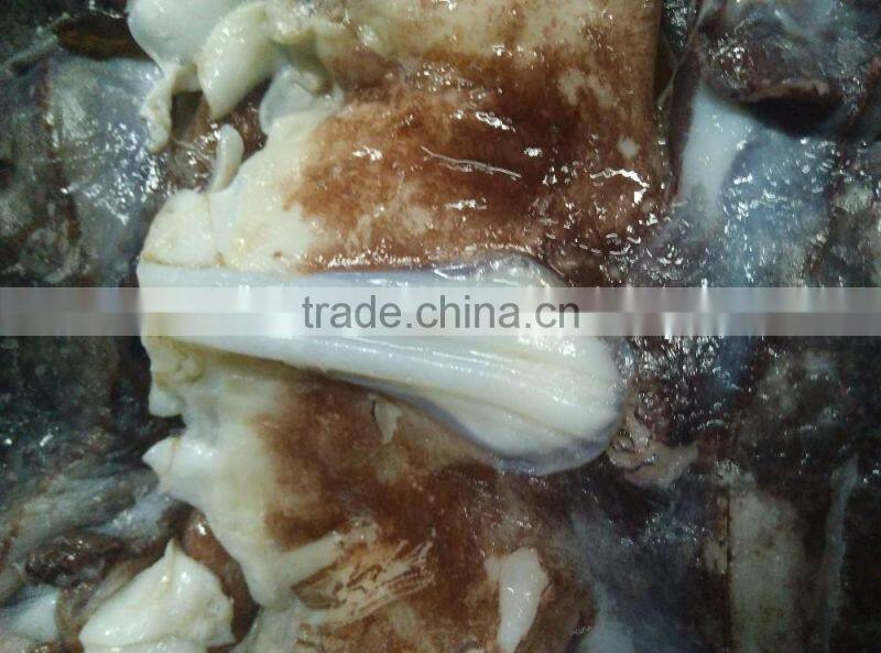 Frozen Giant Squid Neck