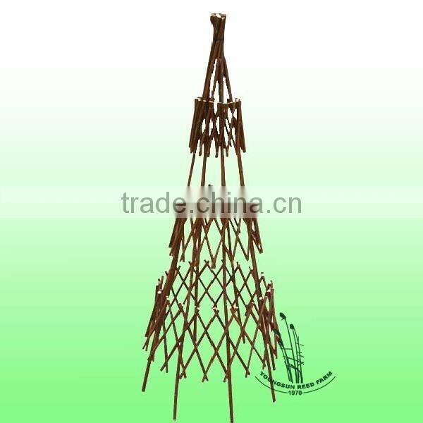 gardening willow obelisk