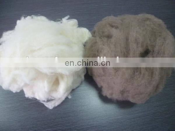 Dehaired and Carded Chinese Sheep Wool Light Grey 20.5mic/32-34mm