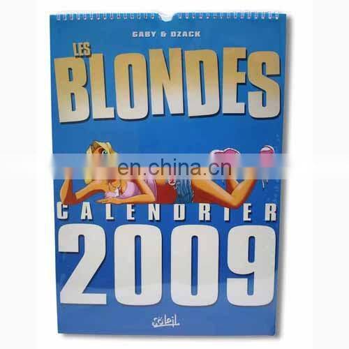 2017 calendar A4 Wall Calendar/digital wall calendar