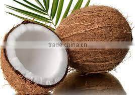 Fresh trimmed/undrimmed coconut
