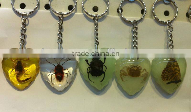 Seashell Accessories,Pecten Shell Keychain,islands Summer fashion beach accessories