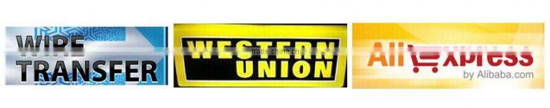 2015 TAIYITO Long Distance Wireless Remote Control Door Lock Network Wireless Door Lock