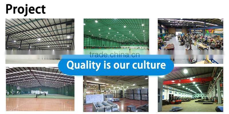 XPES high power 100w high bay induction lighting with 7 years engineering experience