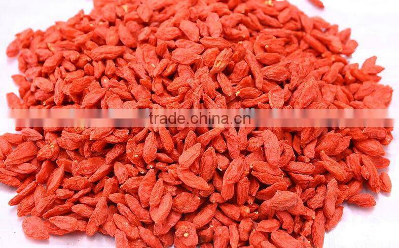 Dried Fruit/China special food Goqi berries /Zhongning Dried Goqi berries