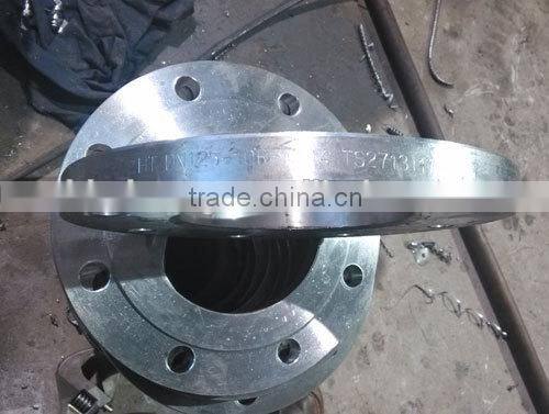 OEM stainless steel forged flange made in China