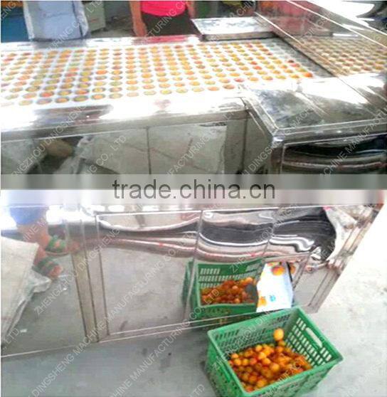 High efficiency jujube kernel pitter machine