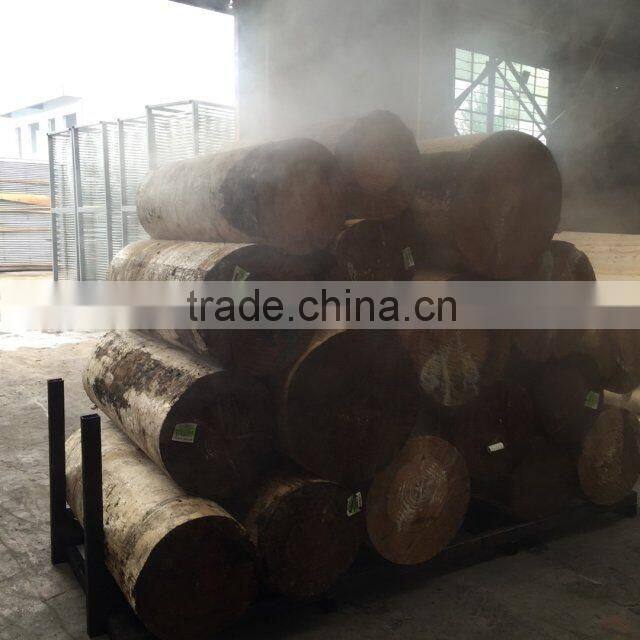 cheap veneer faced mdf door skin from China