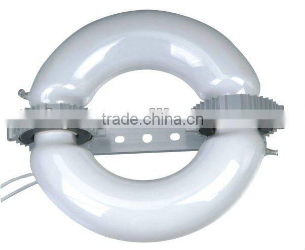 With CE,ETL,ROHS 200w Induction Lamp Walkway Light