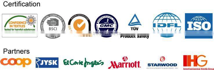 Microfiber 3D Filling Queen Size Pillow 1700g