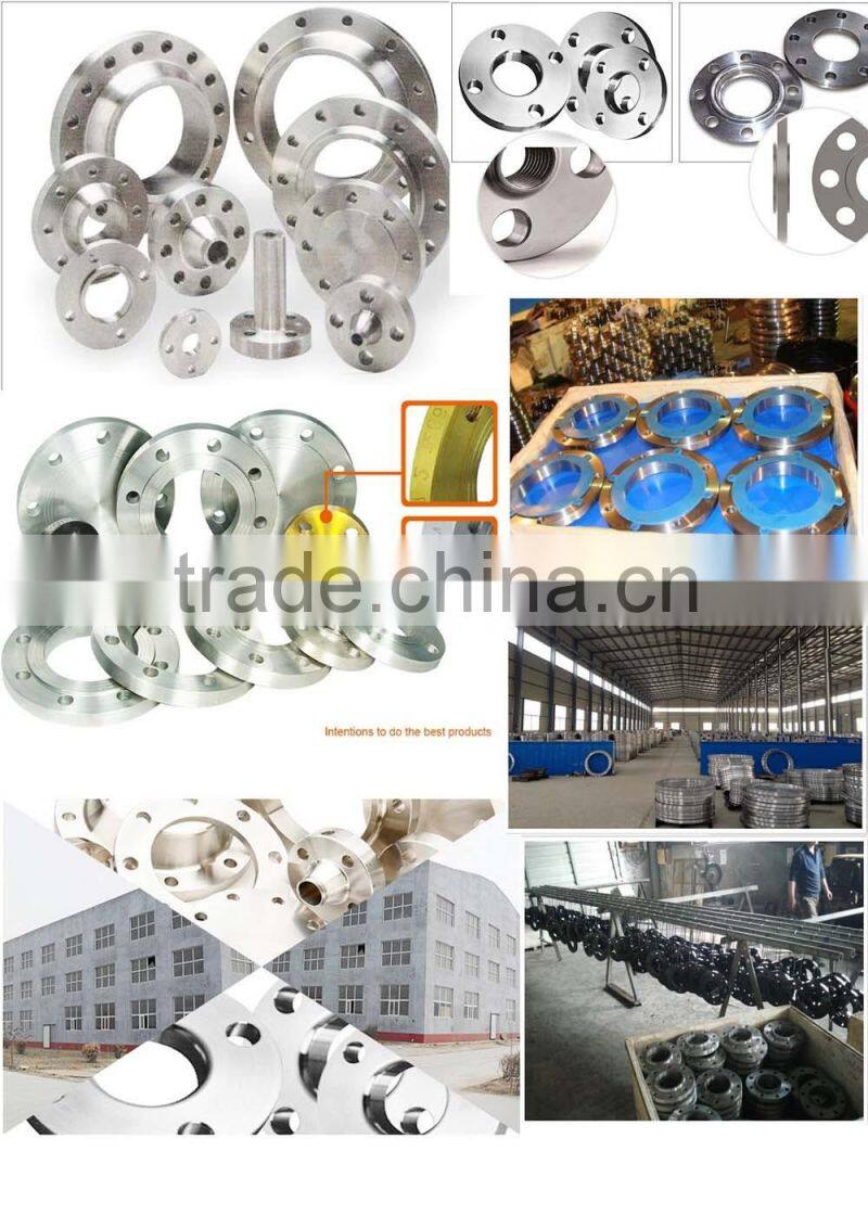 AISI stainless steel forged flange