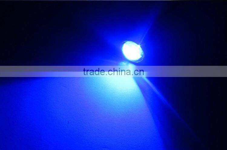 Eagle Eyes auto lamps eagle eye led tail lamp universal drl eagle eyes