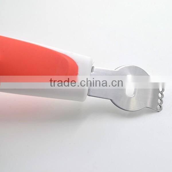 Hot sales in Amazon Modern design handle lemon fruit stainless steel zester