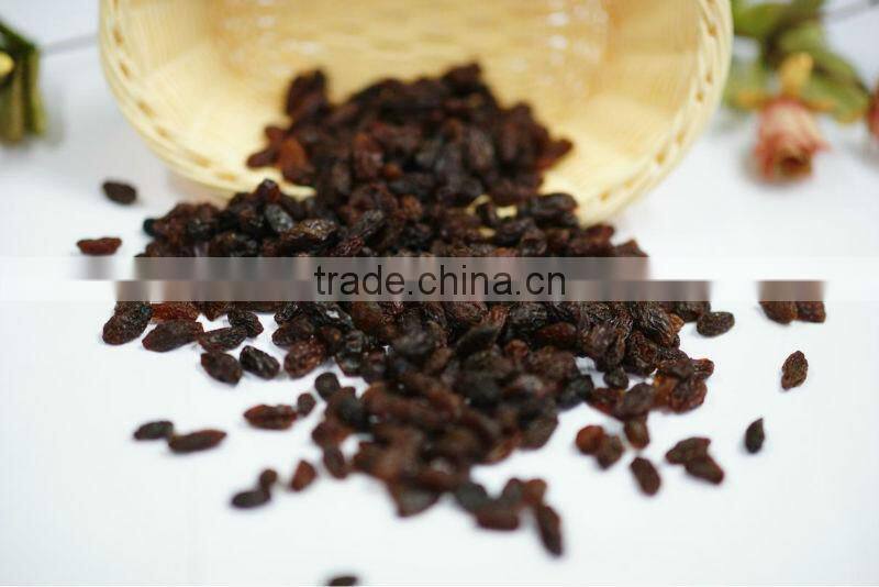 Sultana raisin in dried fruit sultana 2015 new crop