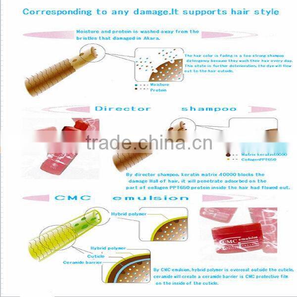 Professional Design Maker collagen shampoo for dyed hair