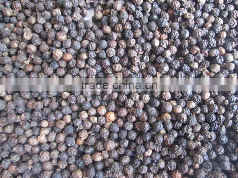 New Crop High Quality Black Pepper from Vietnam