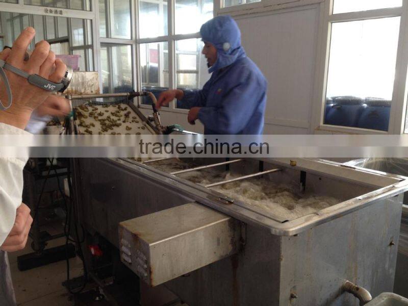 Salted pickled cucumber