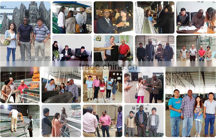 3,4,5,6tiers cage chicken cages for breeding