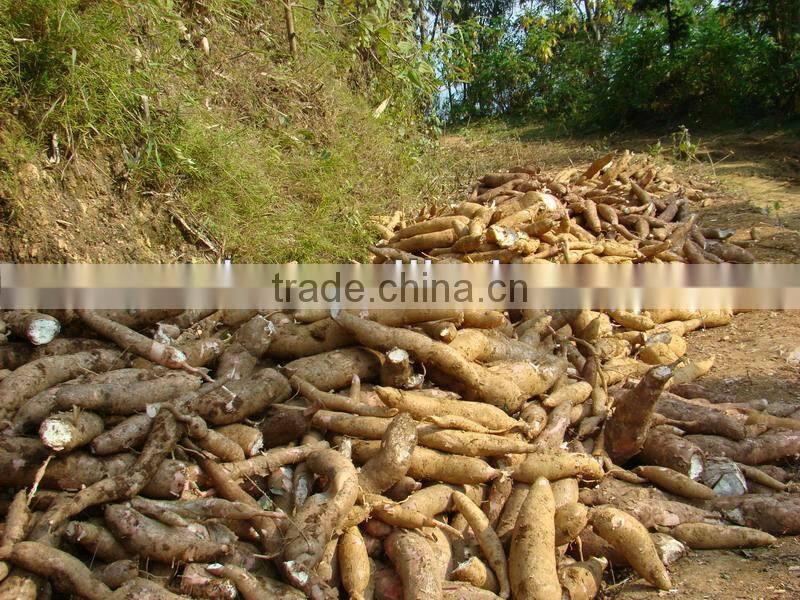 hot sale manioc harvester price