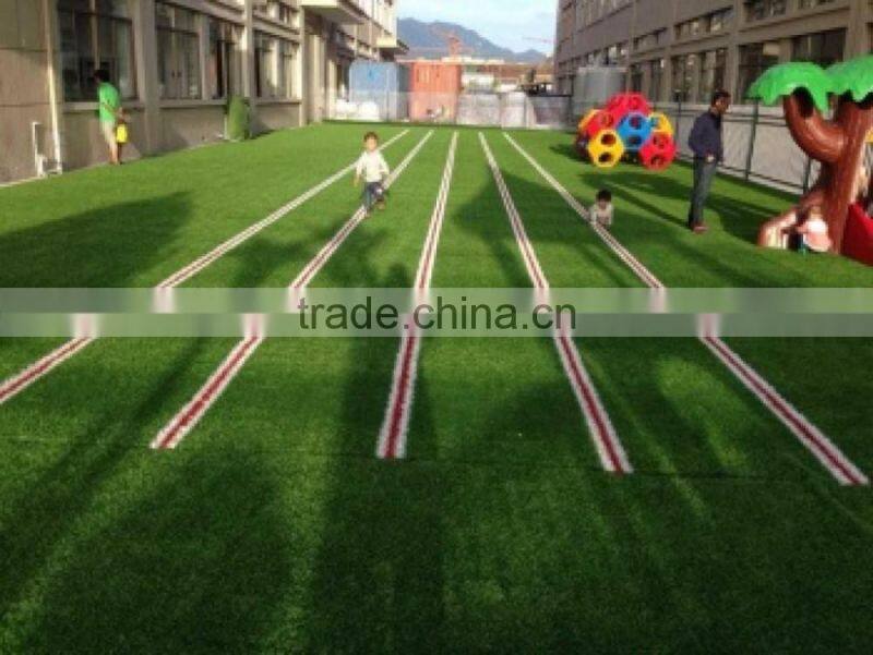 Fashion outdoor & indoor grass decoration