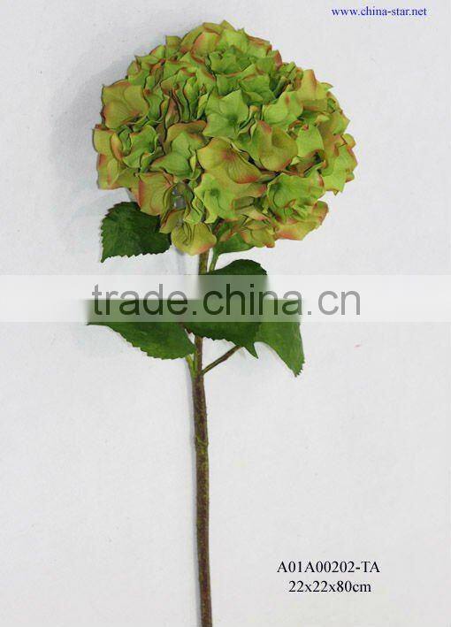 pink single hydrangea with coated