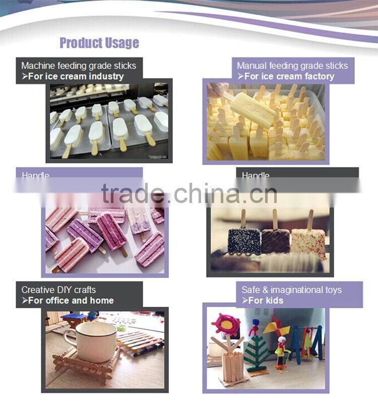 magnum and popsicle stick wood ice cream stick