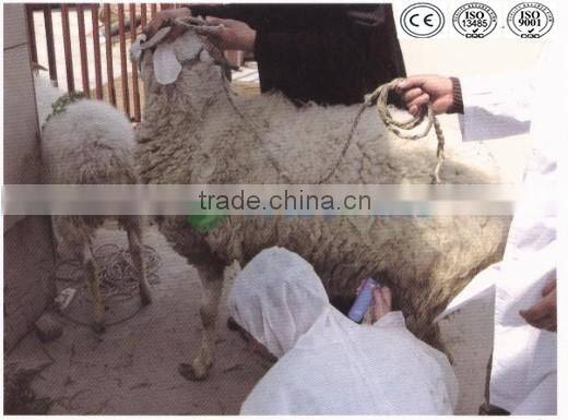 Hot sale sow and goat pregnancy check potable pregnancy scanners