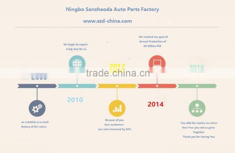 Seal Tire Plugs 100% Self Vulcanizing Tubeless Tire Repair Plug