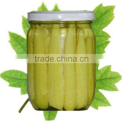 fresh baby corn Canned baby corn