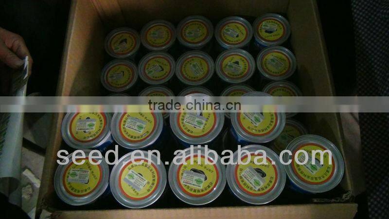 M11-03--planting sweet melon hybrid seed f1