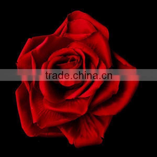 Black Bold Bridal Flower Wedding Hair Accessories