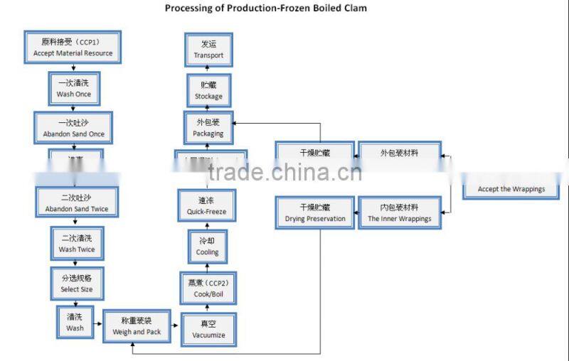 NEW SEASON FROZEN SHORT NECKED CLAM