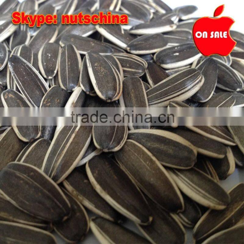 sunflower seeds 5009 24/64 26/68