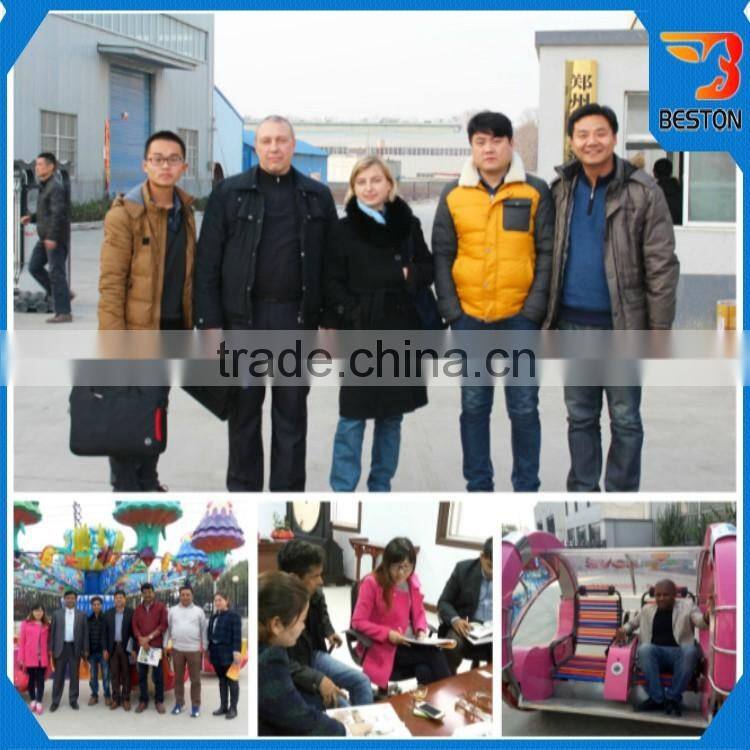 Cheap outdoor amusement ride mini ferris wheel for sale