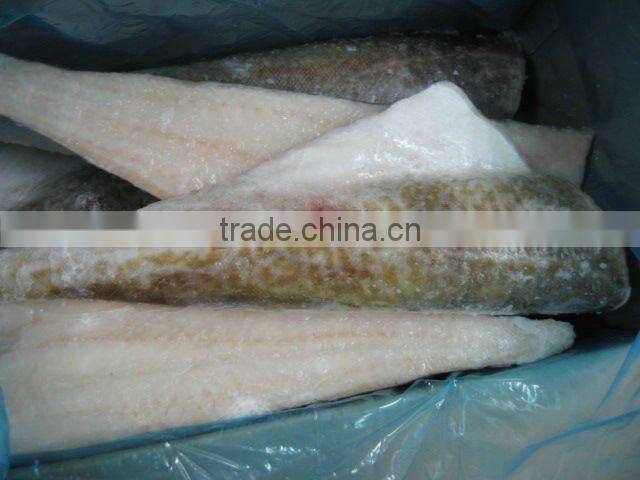 frozen pacific and atlantic cod fish fillet